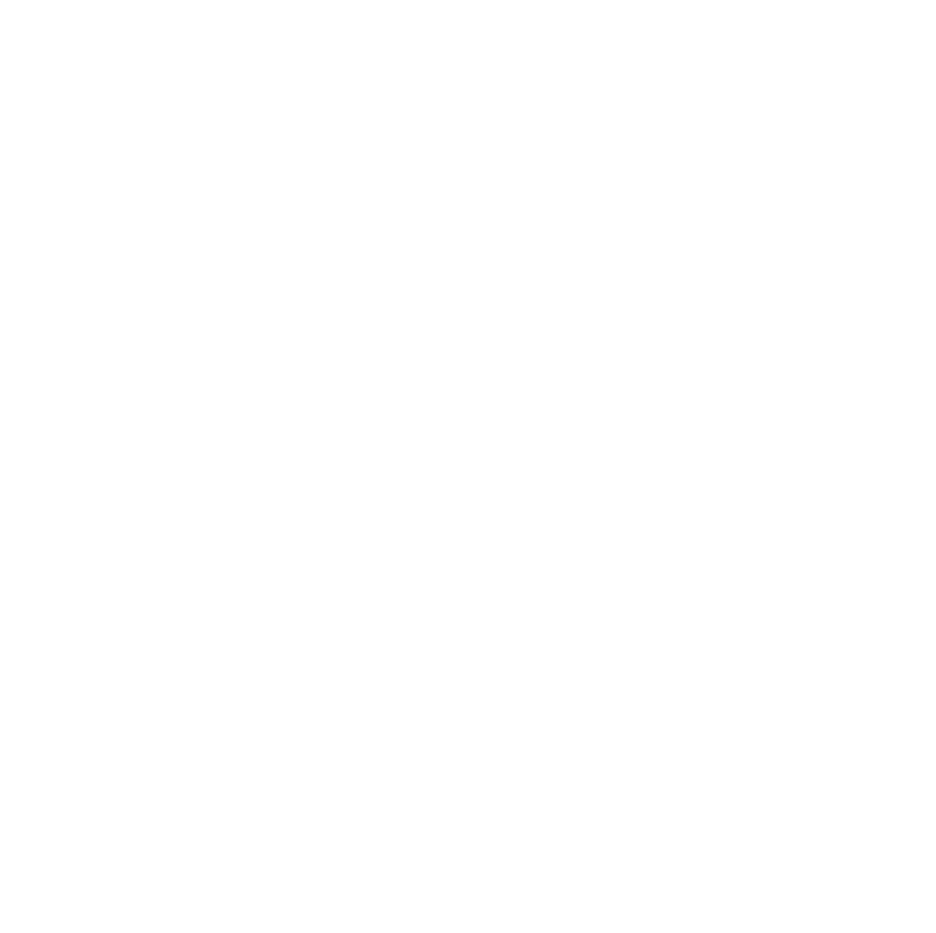 Instagram lLgo 
